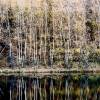 Rursee12